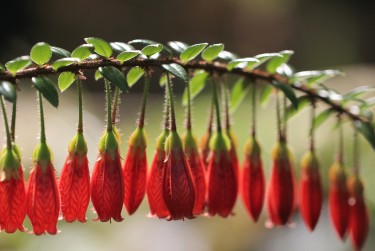 珠海斗门区2私人快速借钱网，轻松解决资金难题